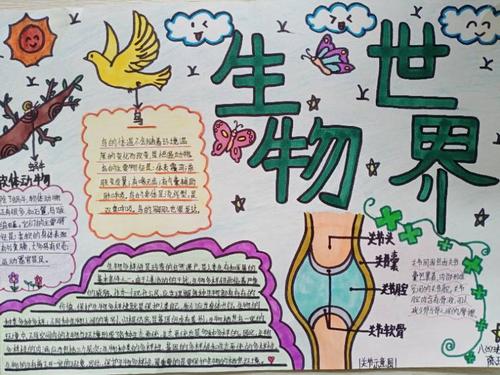 初一生物主要学习的是什么(神奇记忆法：轻松掌握人体八大系统)