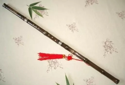 乐器学习方法有哪些(乐器速成秘籍)