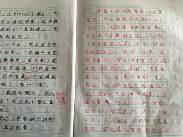 作文如何通顺(写作达人秘籍！揭秘作文通顺技巧，轻松提升文笔水平)
