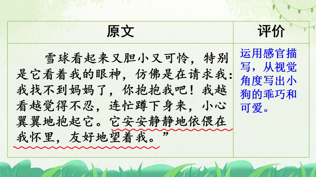 如何写观察作文(绝妙技巧！观察作文高招)
