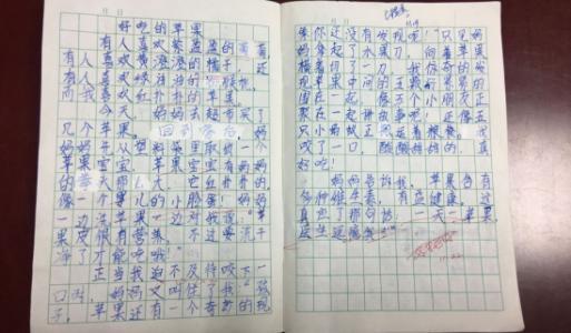 小学作文如何批改(小学语文作文批改写作技巧)