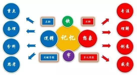 逻辑学习方法有哪些(思维的4个层次)