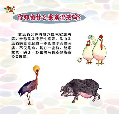 禽类有哪些学习方法(禽类常见的学习方法)