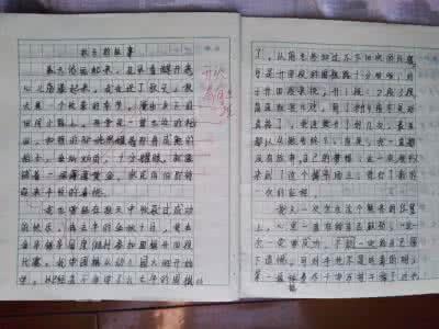 语文作业怎么写(写语文作业的步骤)