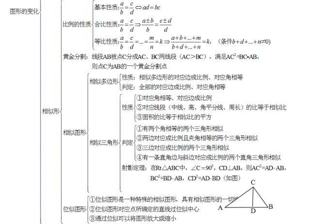 生物有哪些学习方法高中(新高中物化生学习方法分享)