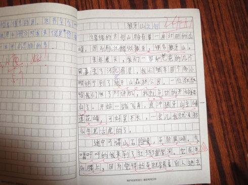 如何写托物言志的作文(分享一个写状物作文非常实用的方法)