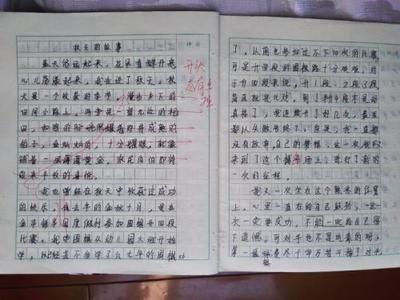 如何提高初中语文阅读能力(提高初中语文阅读能力的方法)
