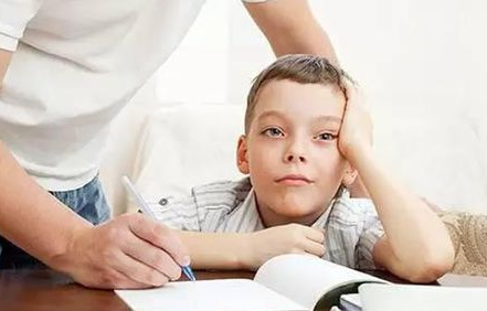 怎么培养神童(培养神童的建议)