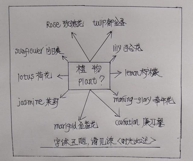 如何正确的引导孩子(正确引导孩子的方法)