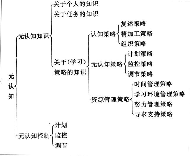 怎么找到适合自己的学习方法(找到适合自己的学习方法)