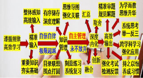 最快学习方法有哪些(提高学习效率的方法)