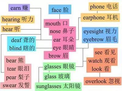 怎样高效率学英语(高效地学习英语的策略)