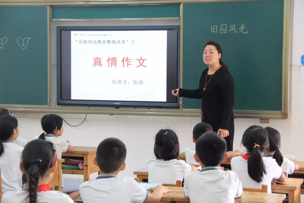 初中语文怎么学(高效地学习初中语文的方法)