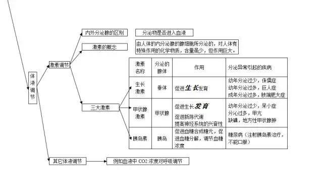 生物学习方法有哪些(生物行之有效的方法和策略)