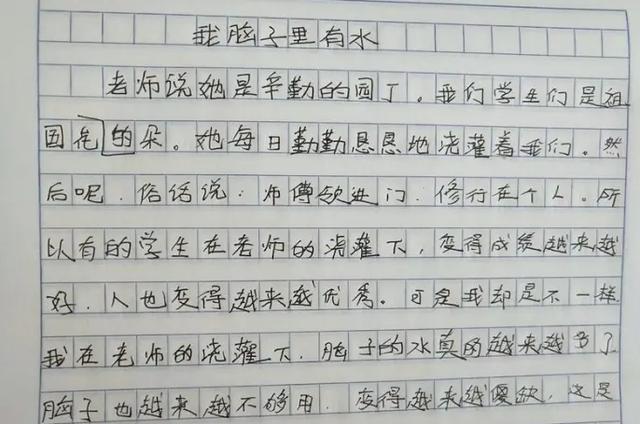 怎么写状物的作文(写优秀状物作文的方法)