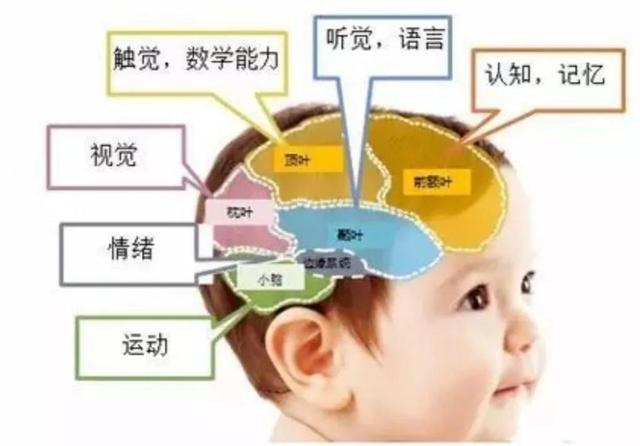 学霸有哪些数学学习方法(学霸常用的数学学习方法)