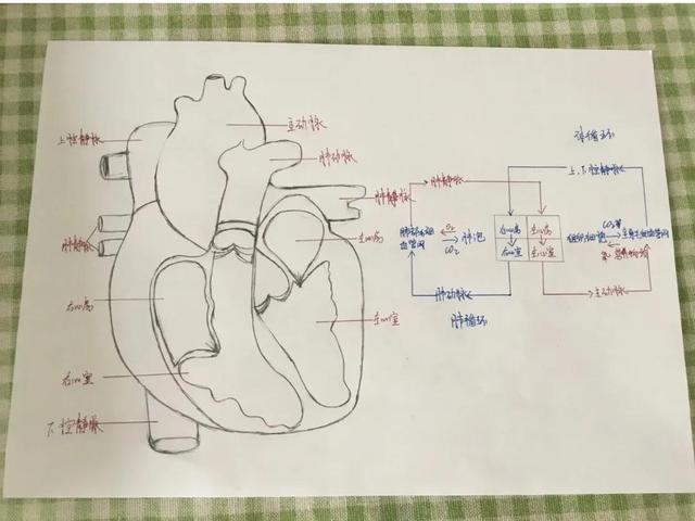 怎么才能做一个有责任感的人(培养和增强责任感的技巧)