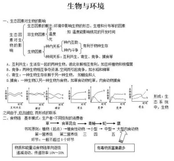 如何教孩子把握事情的松紧度(把握事情松紧度的方法)