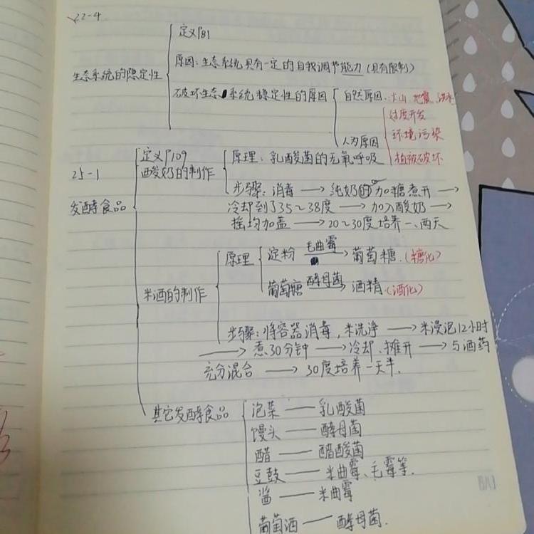 应对考试有什么方法(应对考试的有效方法)