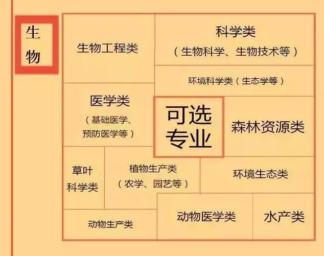 高一怎么选科(选科时可以考虑的因素)