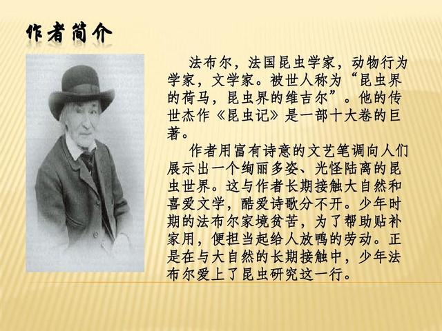 初中生物怎么学习(初中生学习生物的技巧)