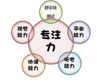 拓宽视野有哪些途径(拓宽视野有效的途径)