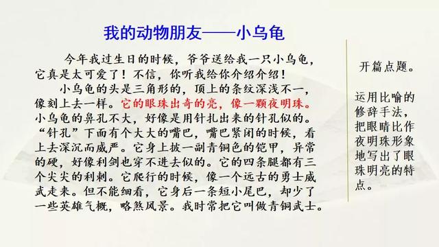 怎么让表达更生动(让表达更生动的方法)