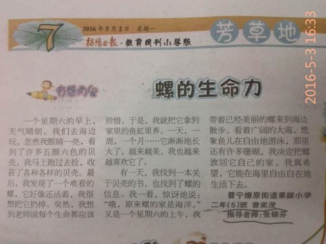 如何学会观察(提升观察能力的技巧)