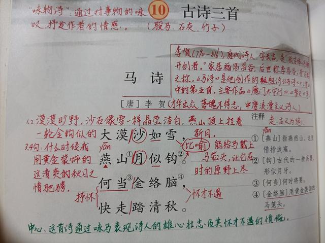 语文该自学什么(自学语文的建议)