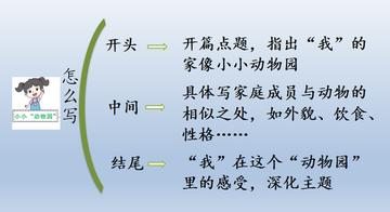 如何把作文开头具体化(提升作文开头吸引力的方法)