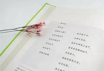学霸是怎么提高文采的(学霸提高文采的方法)