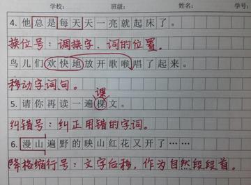 怎么让作文更有条理性(提升作文条理性的方法)