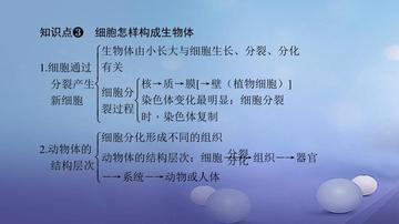 生物如何理解定义知识(理解生物定义和概念的方法)