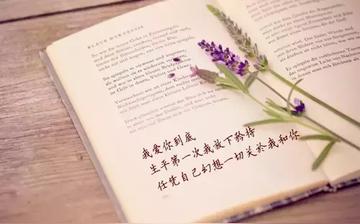 写作怎么表达思想感情(表达思想和情感的技巧)