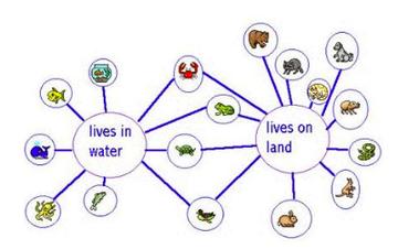 学习思维怎么提升(提升学习思维的方法)