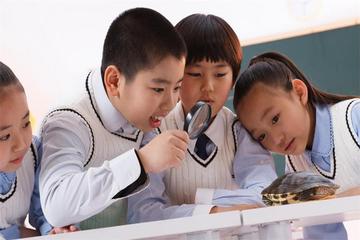 孩子不爱学习怎么办(激发学习兴趣的技巧)