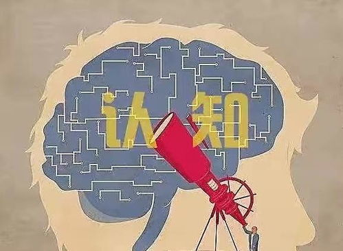 如何提高认知(提升认知能力的方法)