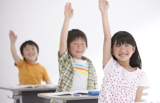 怎么学会处理分歧(学会处理分歧的方法)