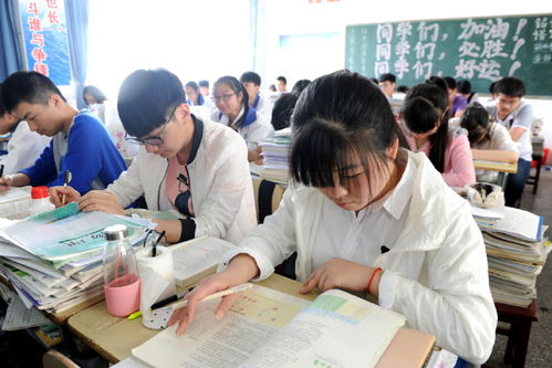 初中数轴如何学好(学好数轴的技巧)