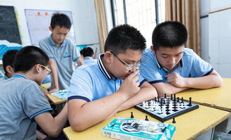 数学选择题怎么不丢分(提高解答选择题准确性的方法)