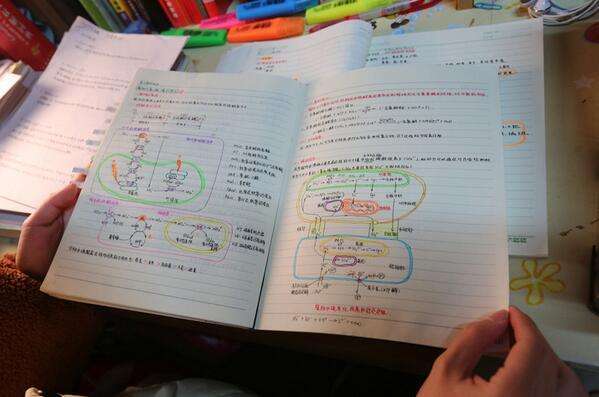 如何提升物理基础知识(提升物理基础知识的策略)