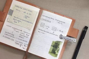 怎样进行错题反思(从错误中学习的技巧)