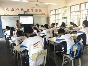 怎么学会运用公式原理(运用公式和原理的技巧)