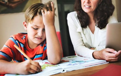 怎么做好考前陪伴(保持良好状态的建议)