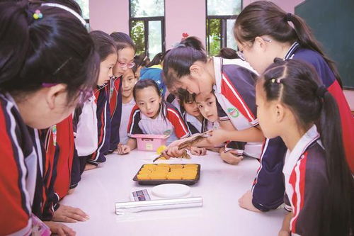 如何面对中考压力(提升应对能力的建议)