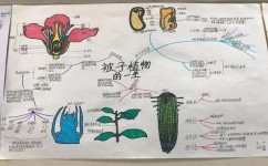 初中生物怎么预习(预习初中生物的技巧) 初中生物怎么预习(预习初中生物的技巧)