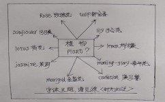 复习如何巩固知识(巩固所学知识的技巧) 复习如何巩固知识(巩固所学知识的技巧)