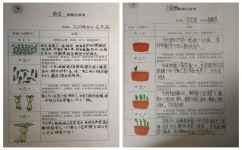 知识点如何学会分类(学会分类知识点的策略) 知识点如何学会分类(学会分类知识点的策略)