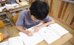 错题本该怎么整理错题(整理错题本的建议) 错题本该怎么整理错题(整理错题本的建议)