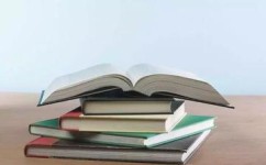 怎样提高语文修养(提高语文修养的方法) 怎样提高语文修养(提高语文修养的方法)